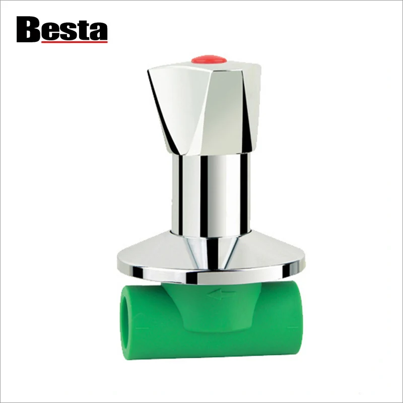 Zenbat PPR balbula mota daude eta zeintzuk diren haien funtzioak